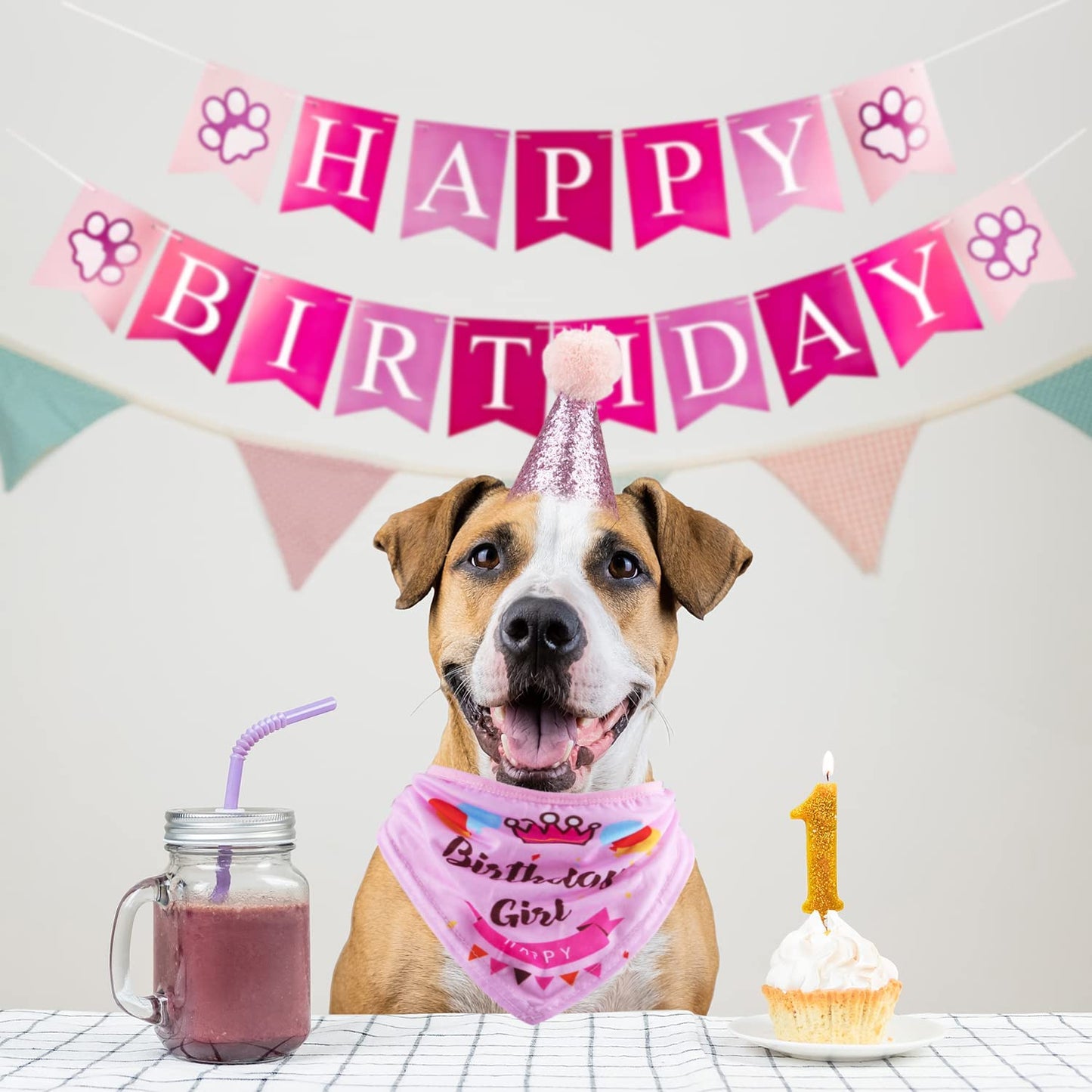 Dog Birthday Party Supplies - Bandana Hat Banner Set with Boy & Girl Cute Bow Tie Scarf - Dog Birthday Decorations (Pink, Girl)