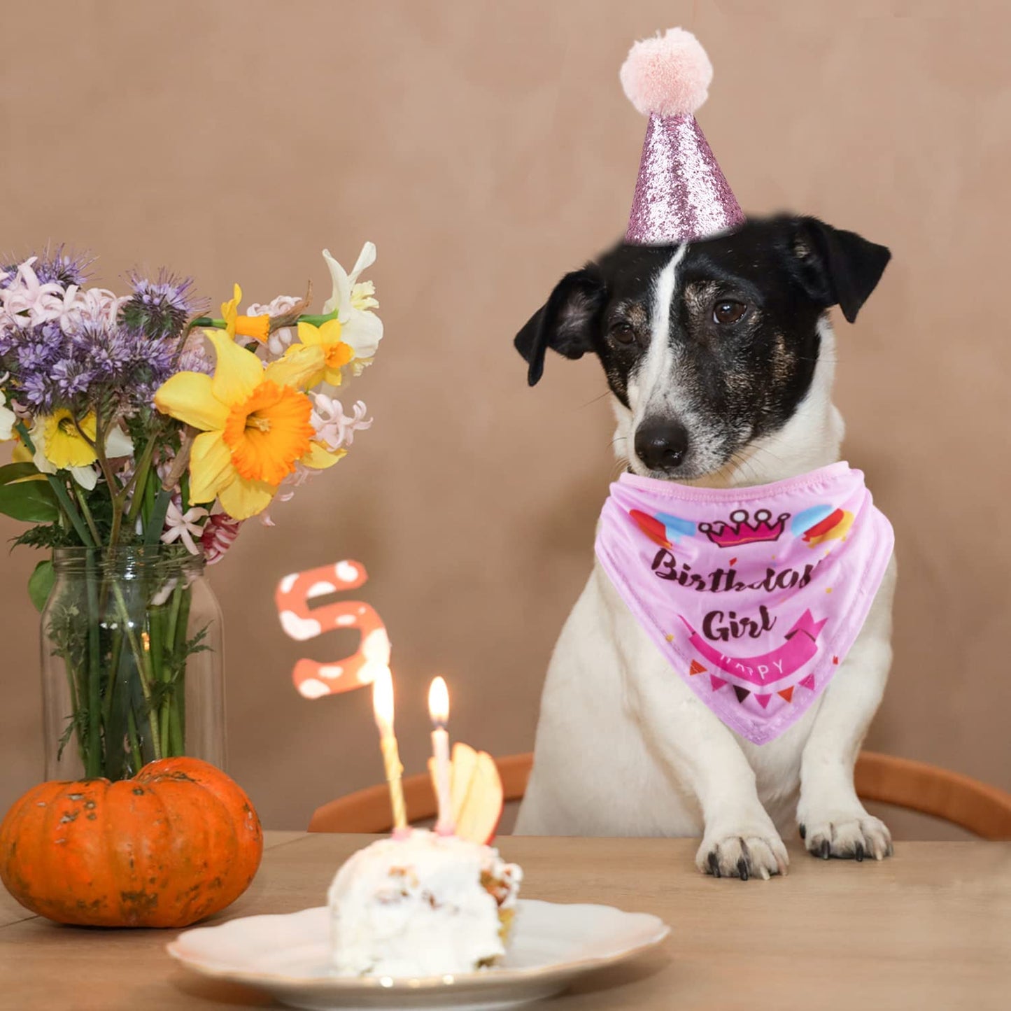 Dog Birthday Party Supplies - Bandana Hat Banner Set with Boy & Girl Cute Bow Tie Scarf - Dog Birthday Decorations (Pink, Girl)