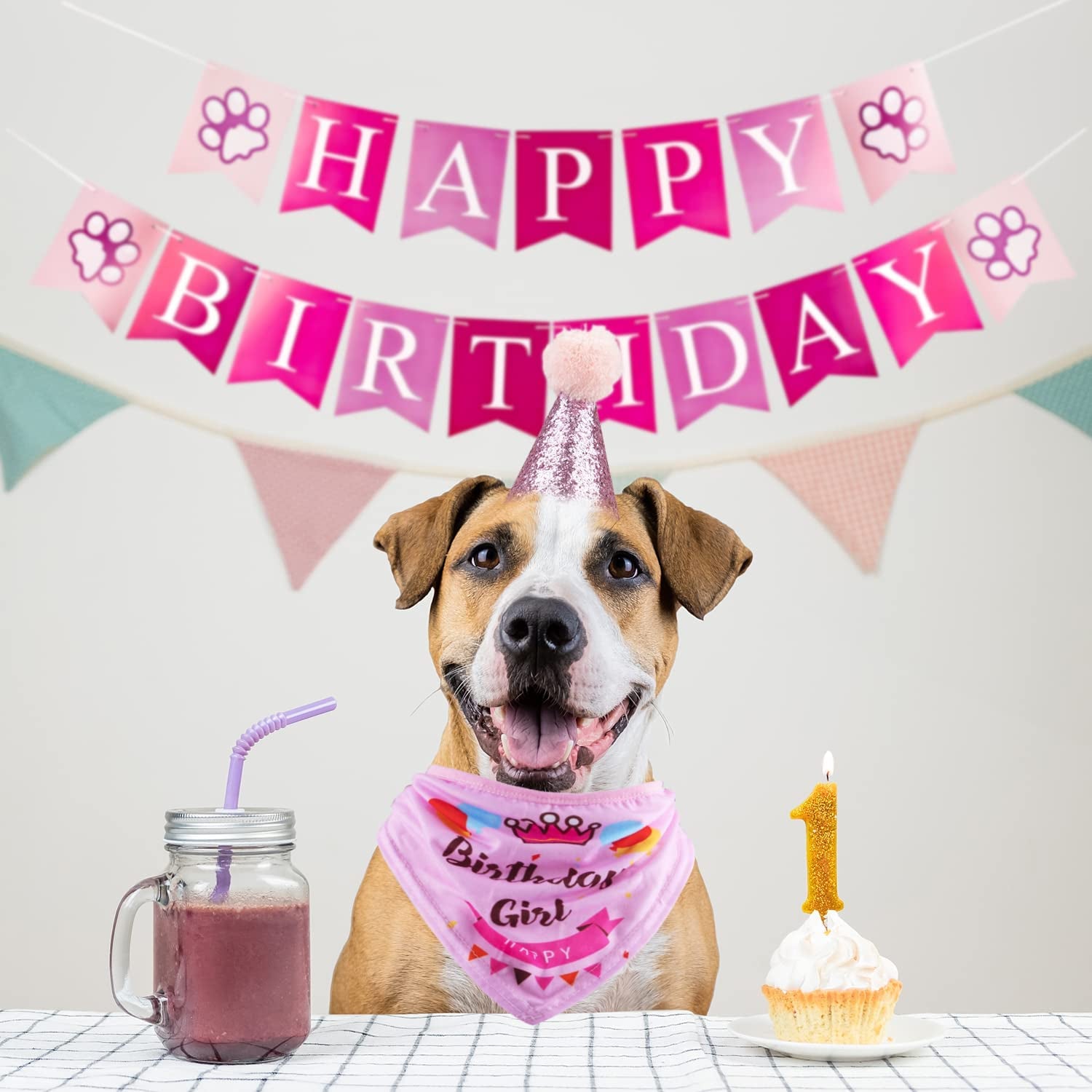 Dog Birthday Party Supplies - Bandana Hat Banner Set with Boy & Girl Cute Bow Tie Scarf - Dog Birthday Decorations (Pink, Girl)
